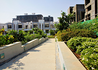Kolte-Patil - Ivy Estate-path way
