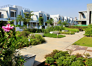 Kolte-Patil - Ivy Estate-pathway