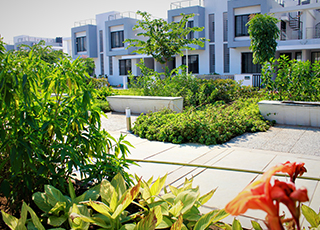 Kolte-Patil - Ivy Estate-path way