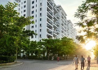 Kolte-Patil - Ivy Apartments-elevation