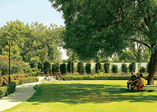 Kolte-Patil - IVY NIA-Lawn